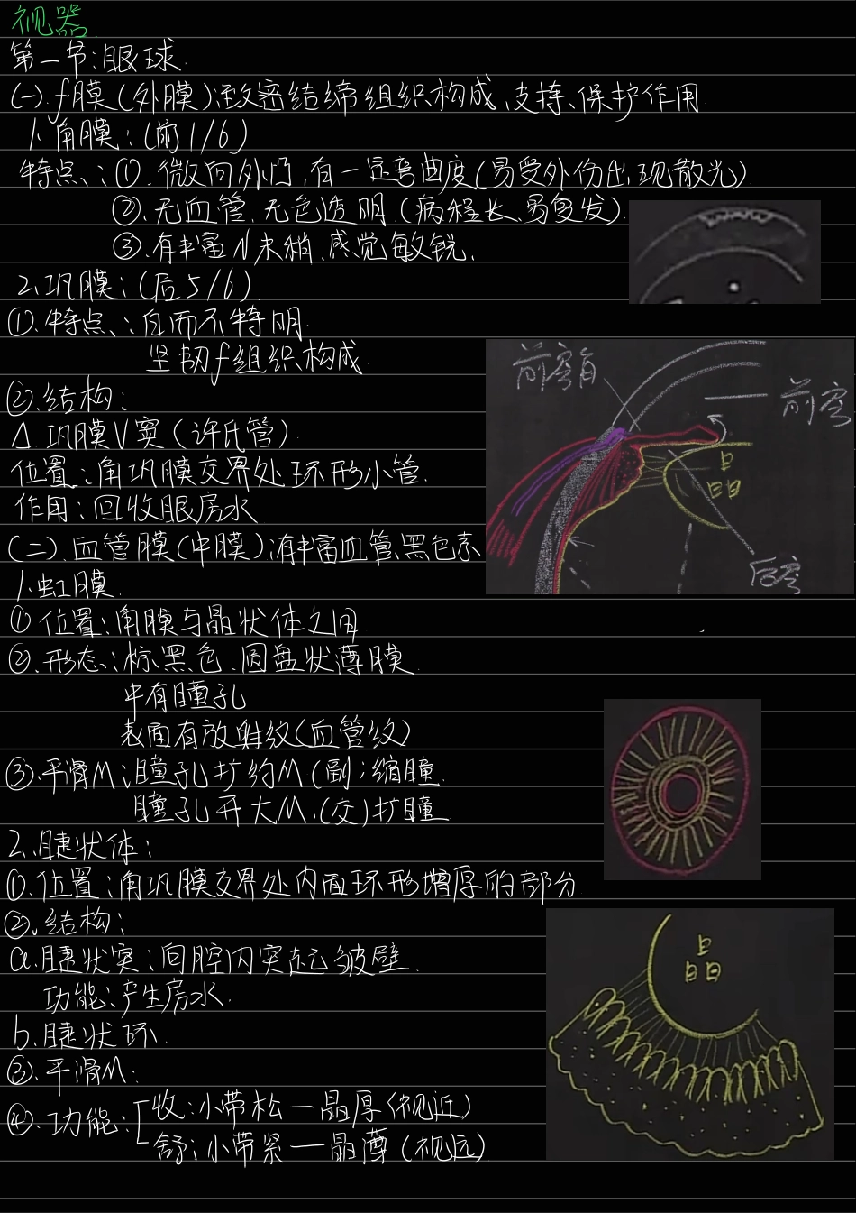 医学科目：7.感觉器.pdf_第1页