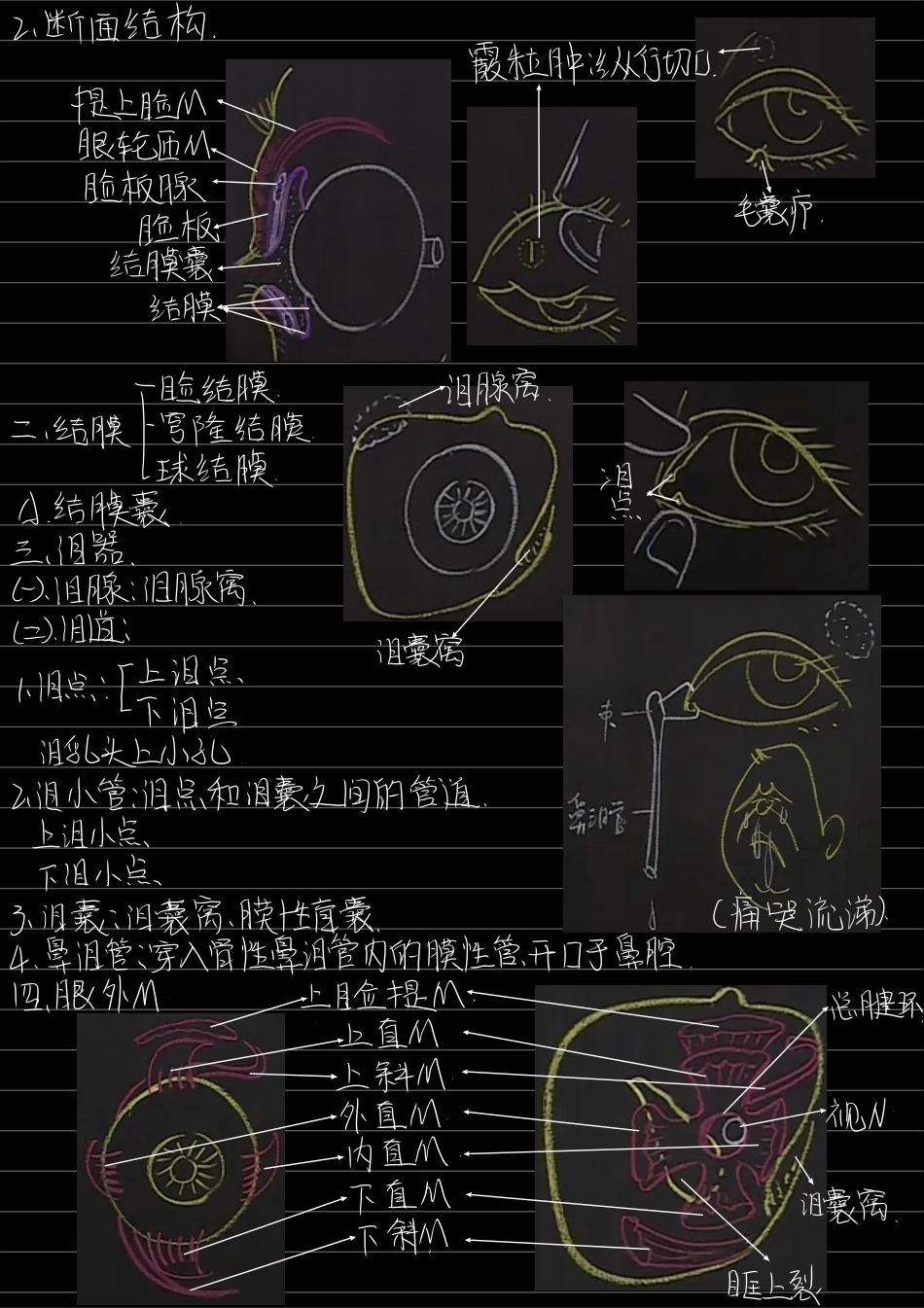 医学科目：7.感觉器.pdf_第3页