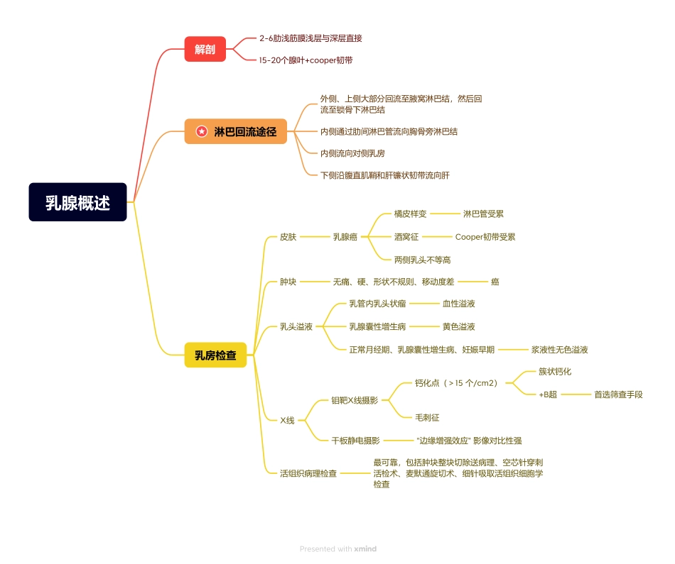 医学科目：7.乳腺概述.pdf_第1页