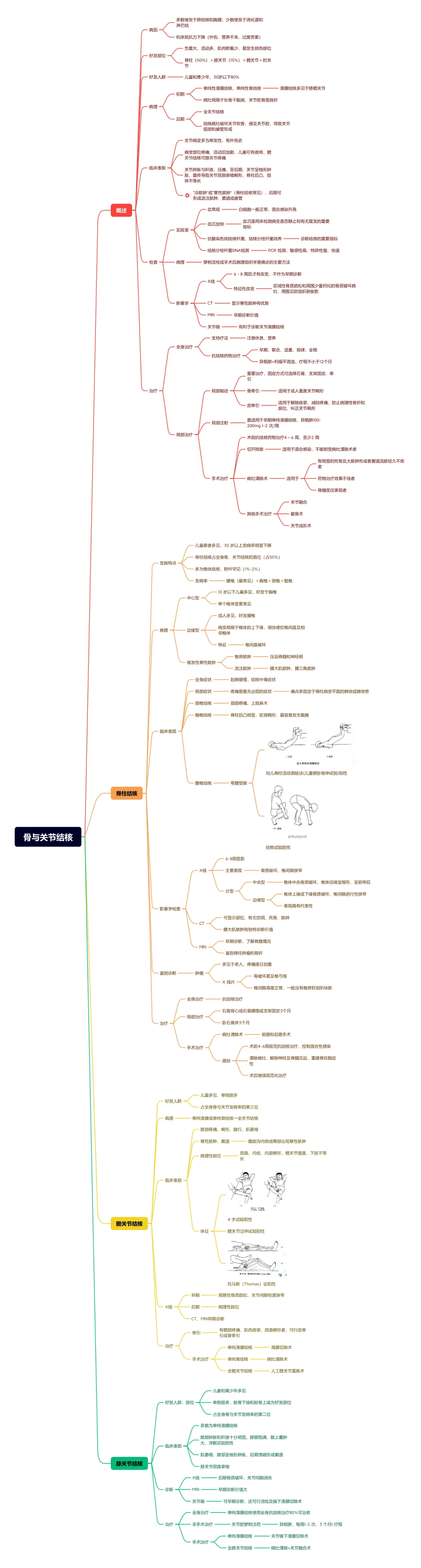 医学科目：9.骨与关节结核.pdf_第1页