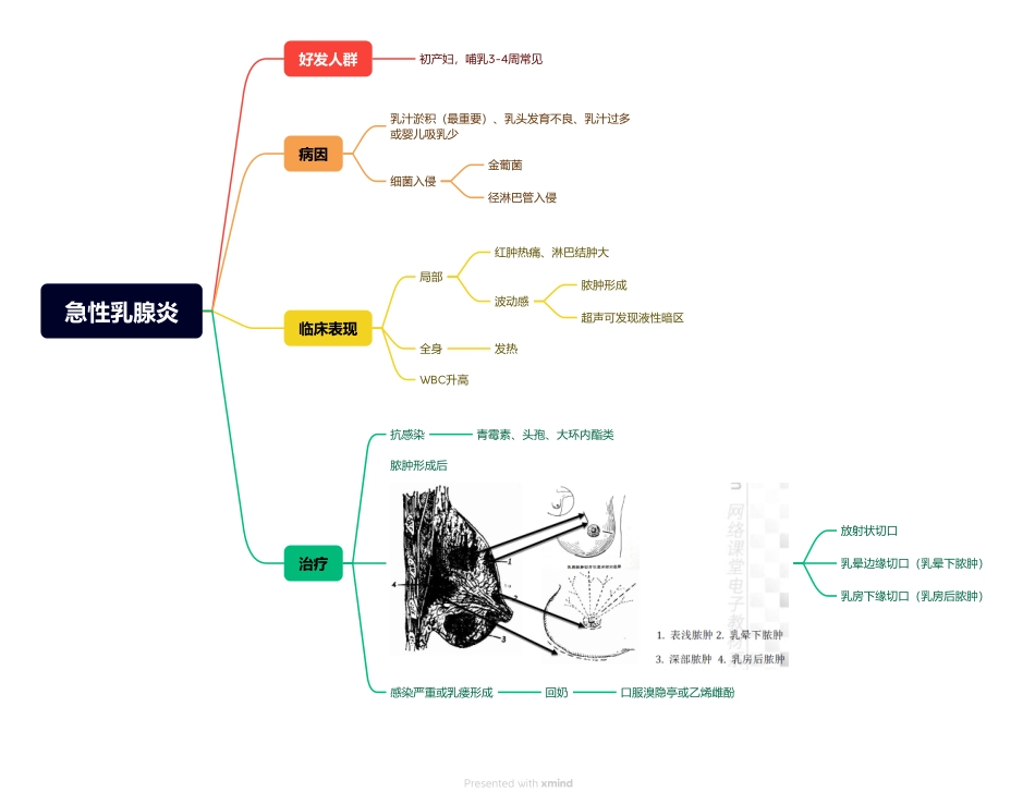 医学科目：9.急性乳腺炎.pdf_第1页