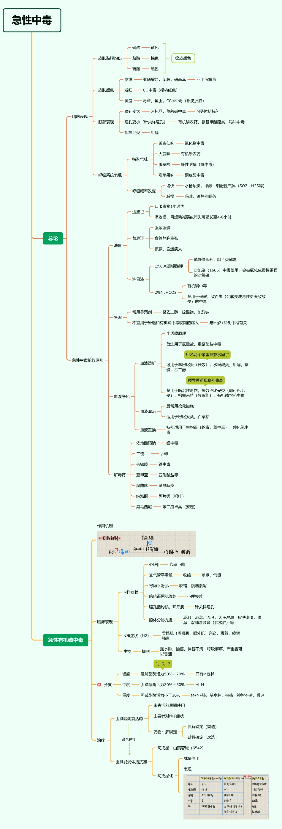医学科目：12.急性中毒.pdf_第1页