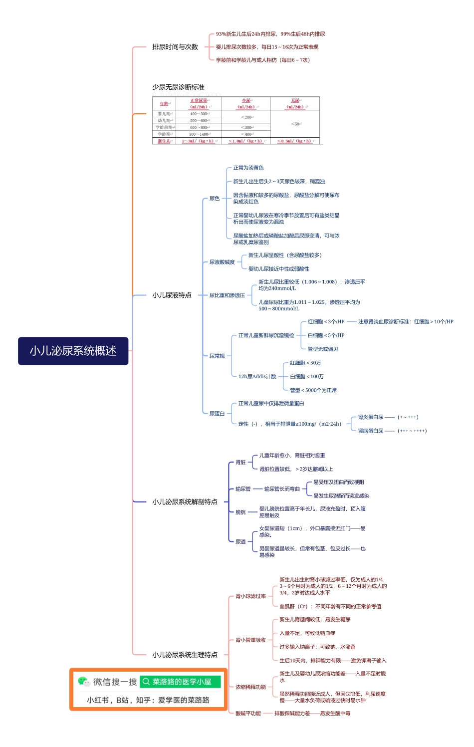 医学科目：13.1小儿泌尿系统概述.pdf_第1页