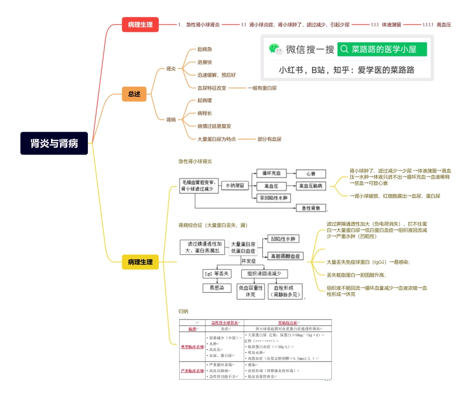 医学科目：13.2肾炎与肾病.pdf_第1页