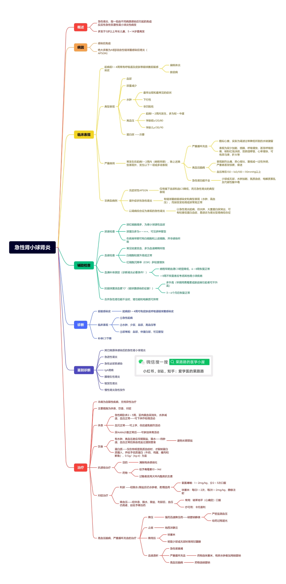 医学科目：13.3急性肾小球肾炎.pdf_第1页