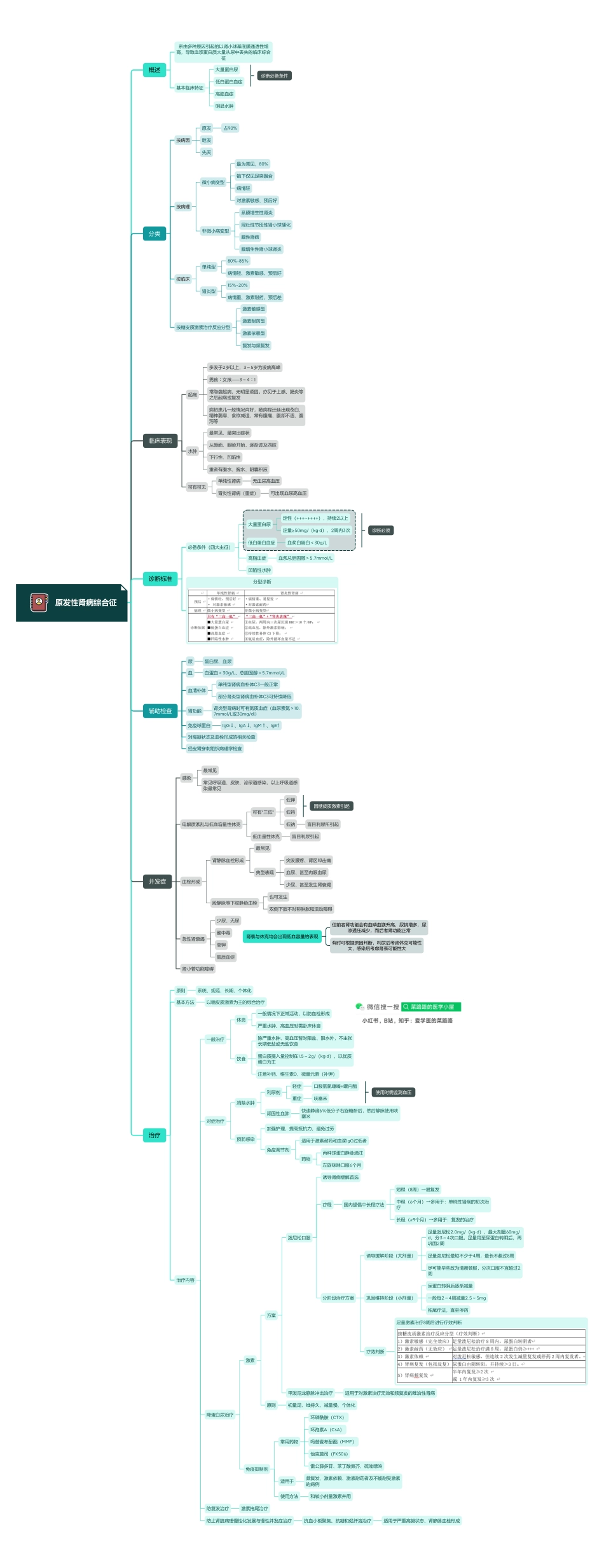 医学科目：13.4原发性肾病综合征.pdf_第1页