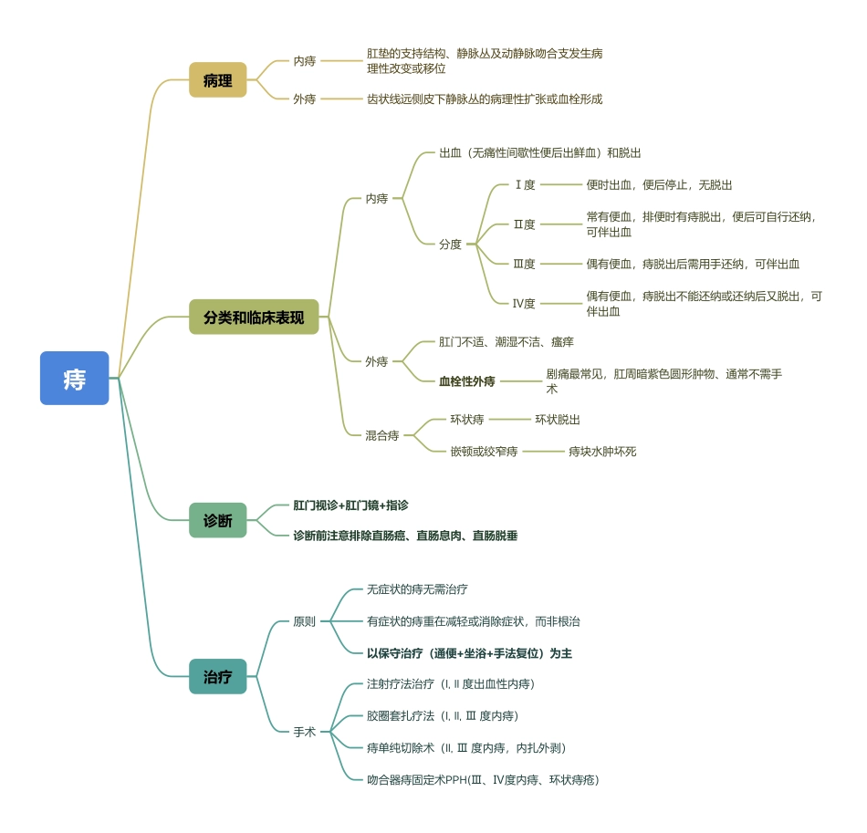医学科目：13.痔.pdf_第1页