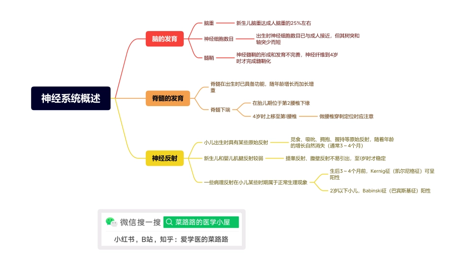 医学科目：15.1神经系统概述.pdf_第1页
