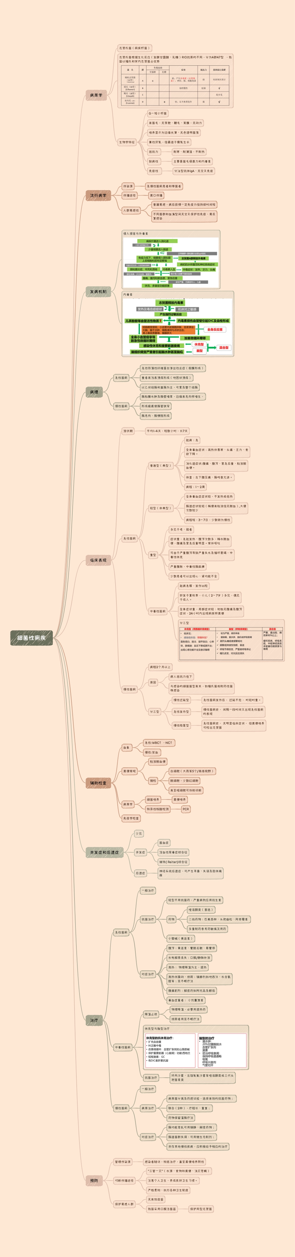 医学科目：16.细菌性痢疾.pdf_第1页