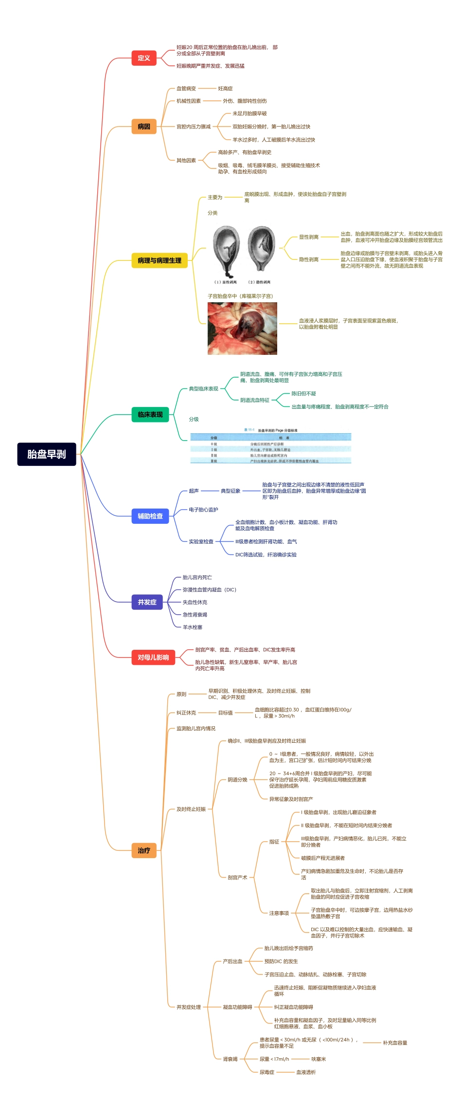 医学科目：18.胎盘早剥.pdf_第1页