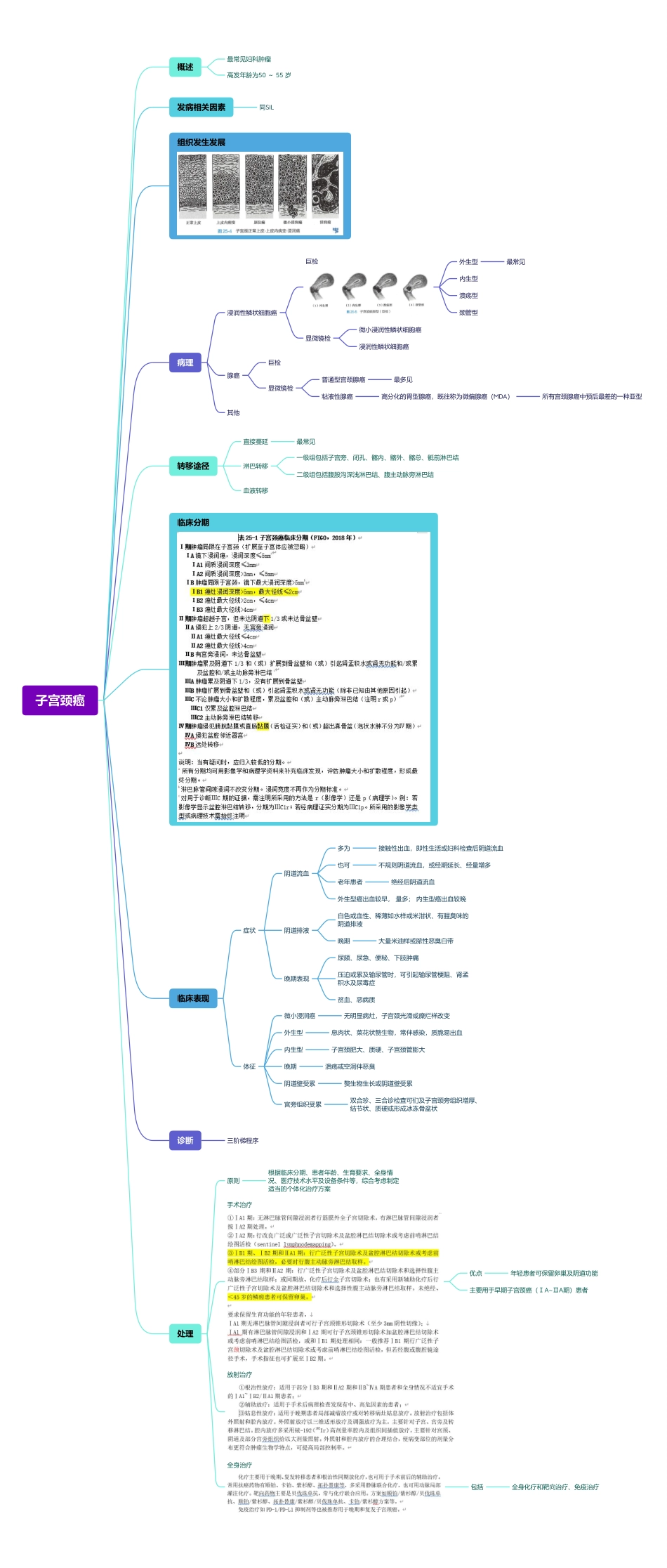 医学科目：26.子宫颈癌.pdf_第1页
