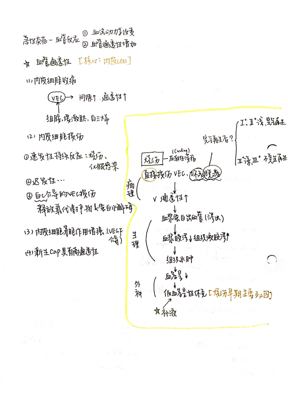 医学科目：病理 笔记+总结.pdf_第2页