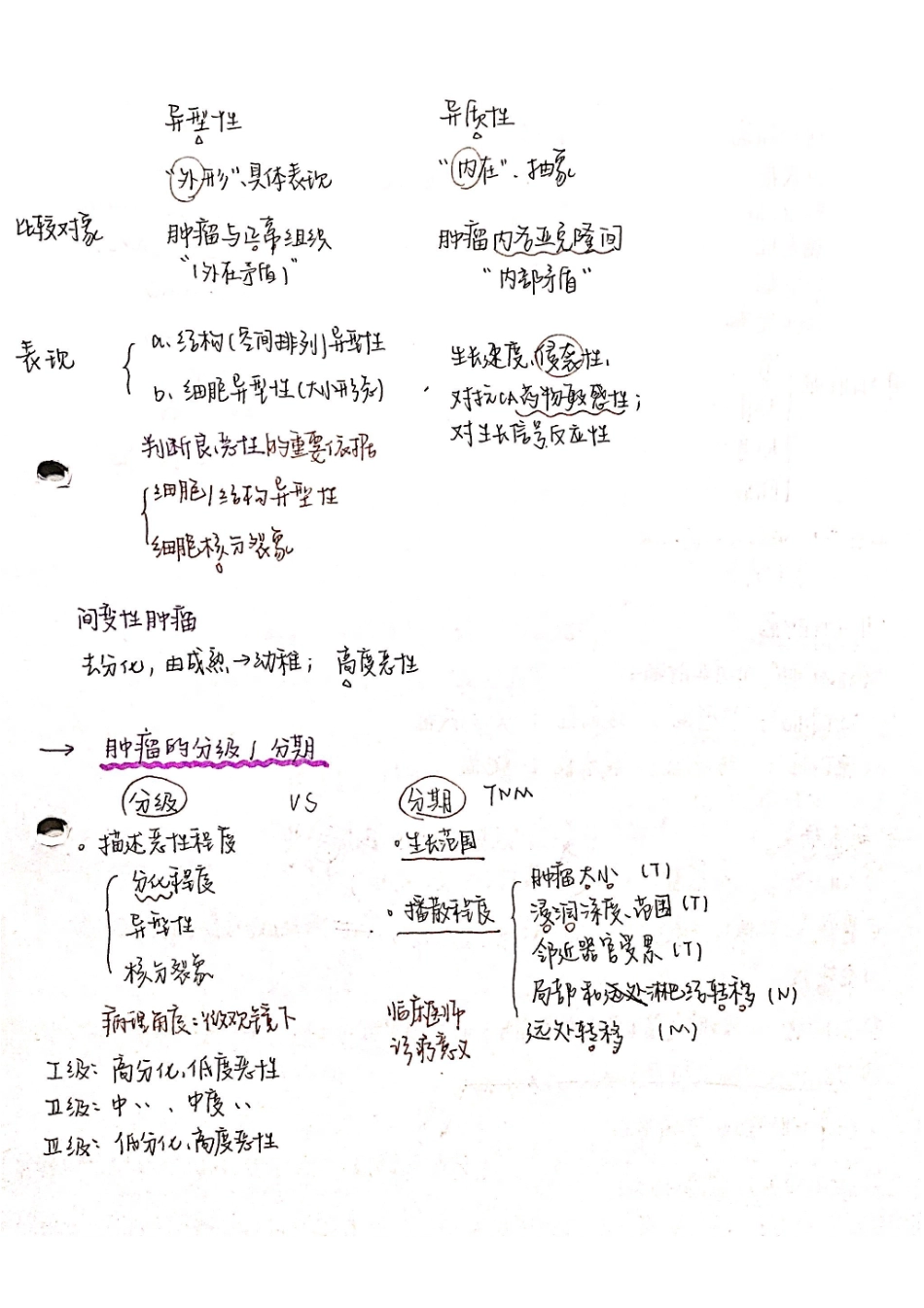 医学科目：病理 笔记+总结.pdf_第3页