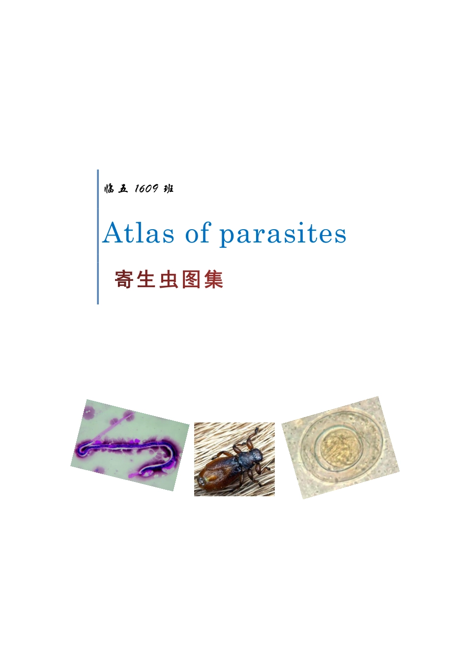医学科目：九班的寄生虫图集.pdf_第1页