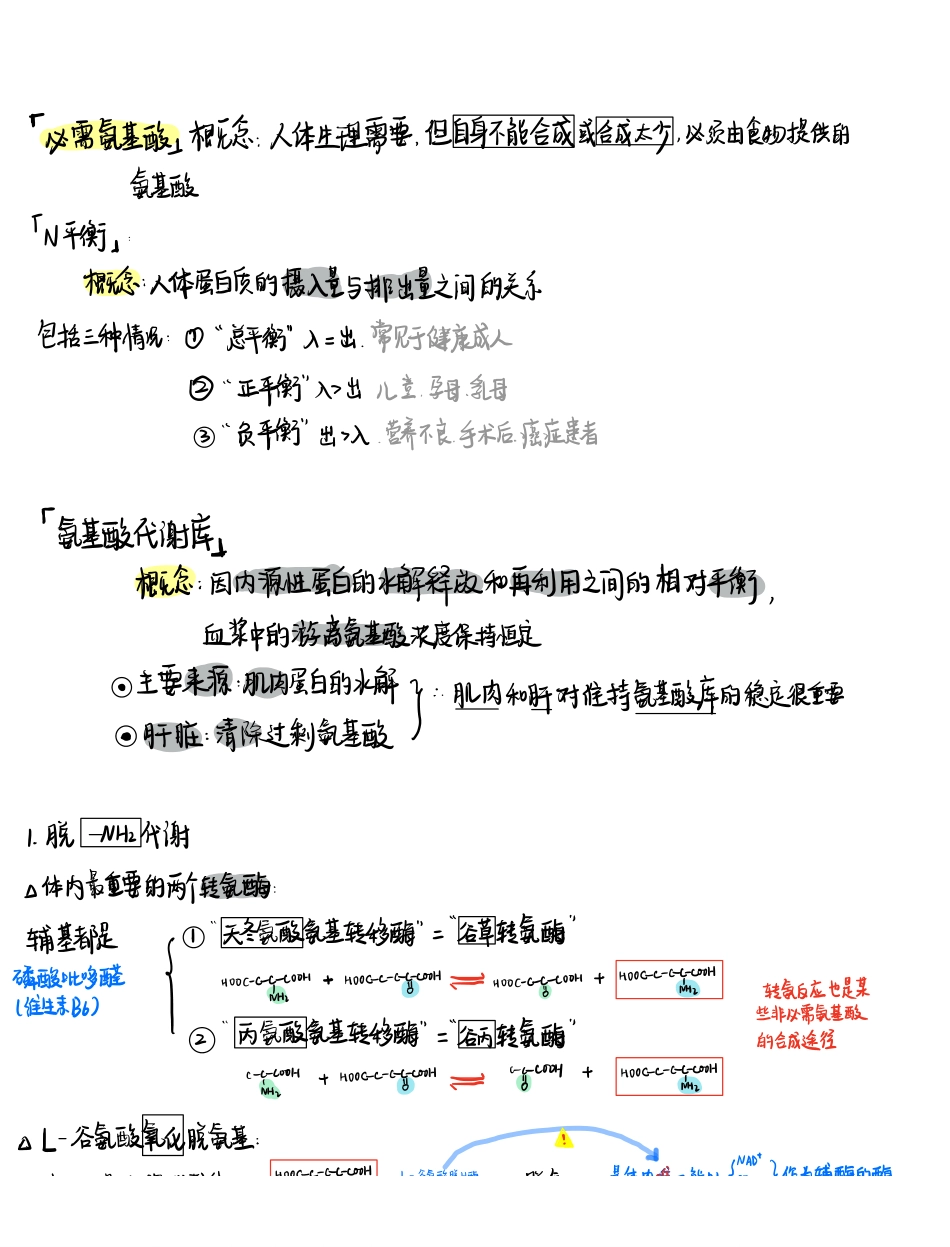 医学科目：生化手写笔记2.pdf_第1页