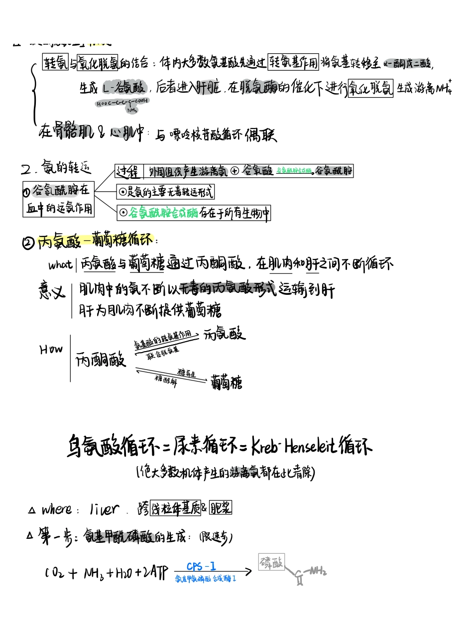 医学科目：生化手写笔记2.pdf_第2页