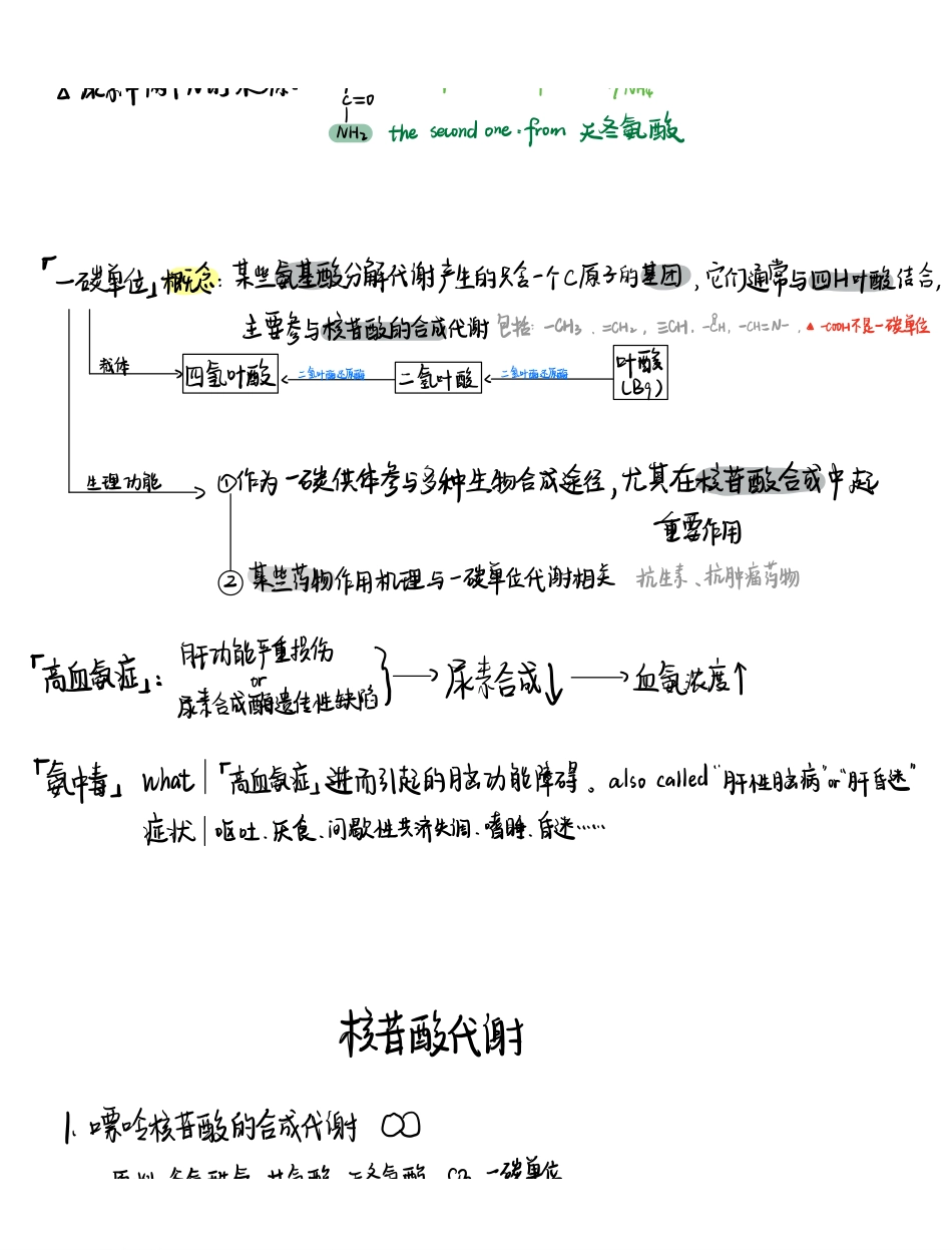 医学科目：生化手写笔记2.pdf_第3页