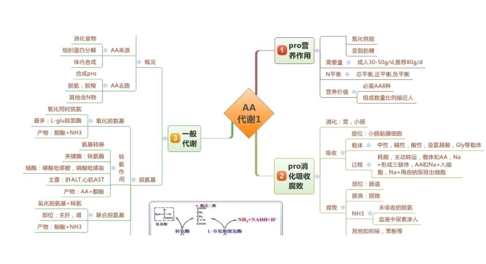 医学科目：生物化学思维导图.pdf_第1页
