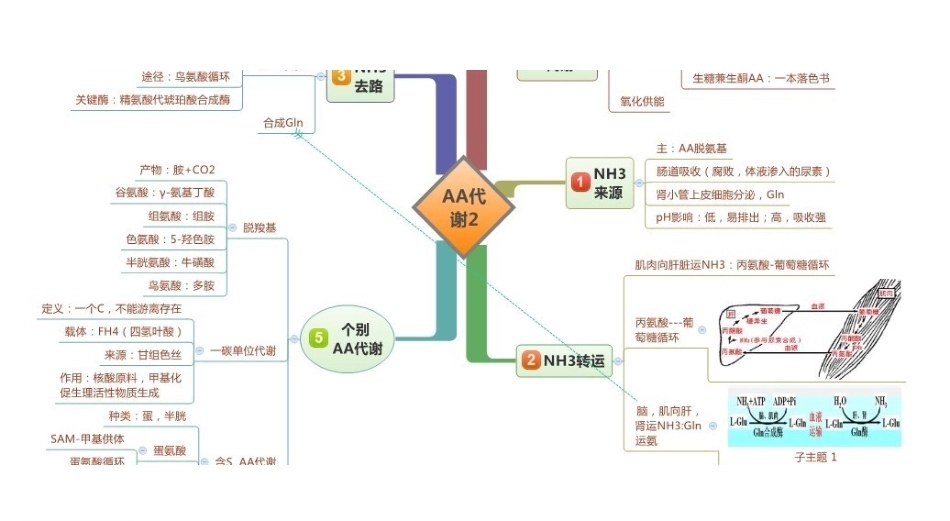 医学科目：生物化学思维导图.pdf_第2页