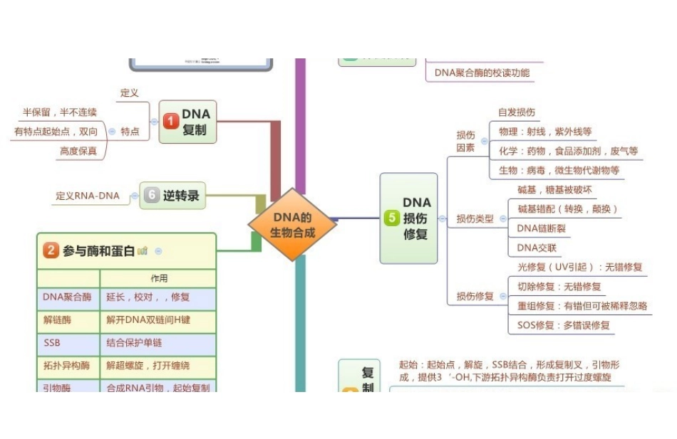 医学科目：生物化学思维导图.pdf_第3页