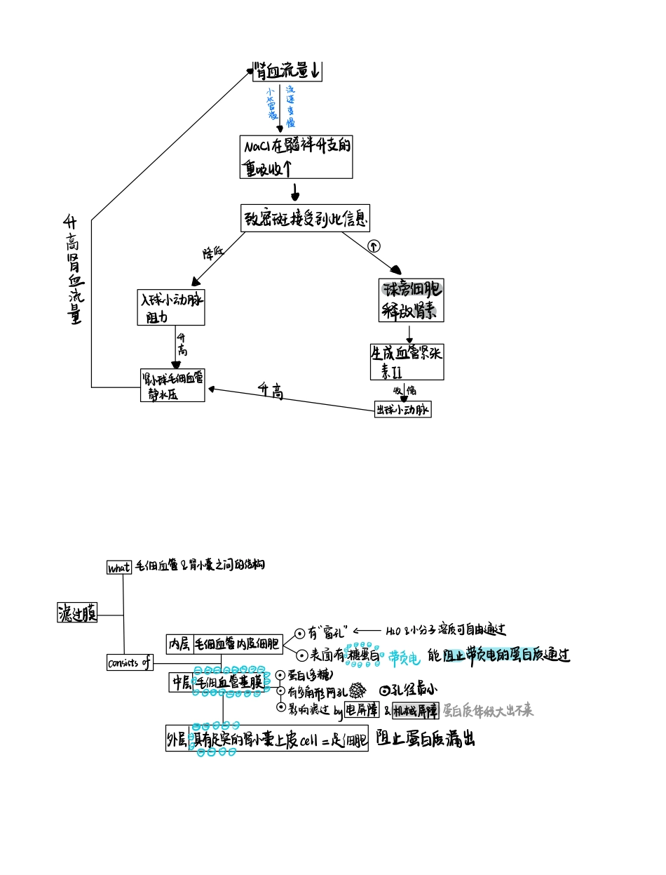 医学科目：手写笔记2.pdf_第1页
