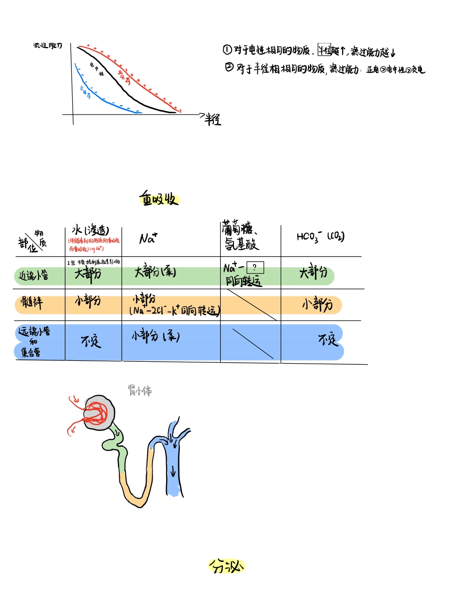 医学科目：手写笔记2.pdf_第2页