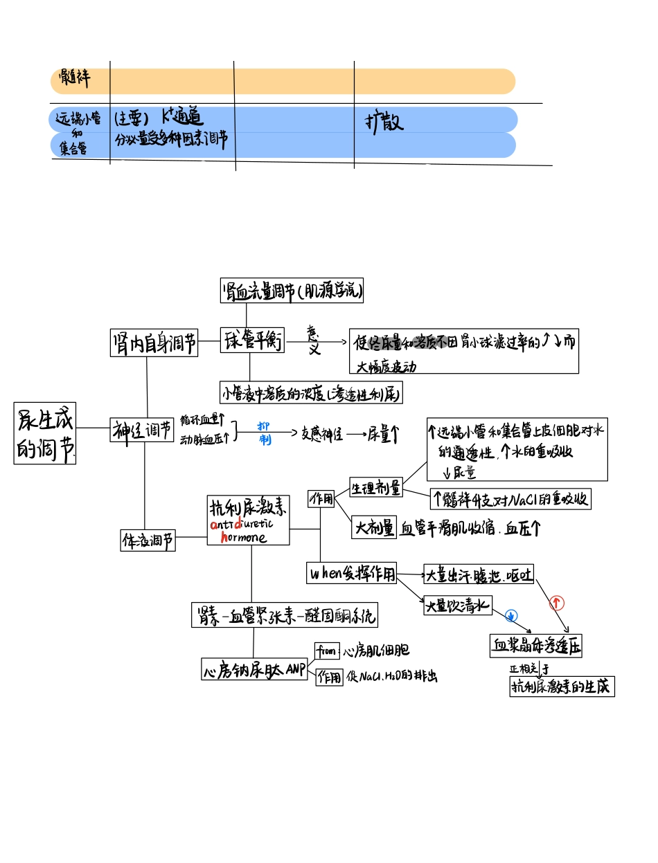 医学科目：手写笔记2.pdf_第3页