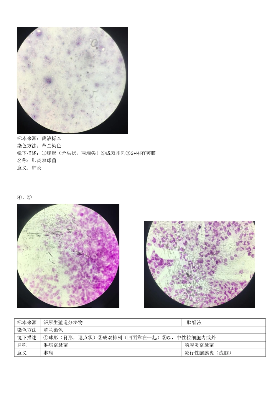 医学科目：微生物标本.pdf_第2页