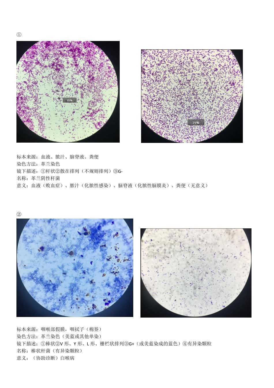 医学科目：微生物标本.pdf_第3页