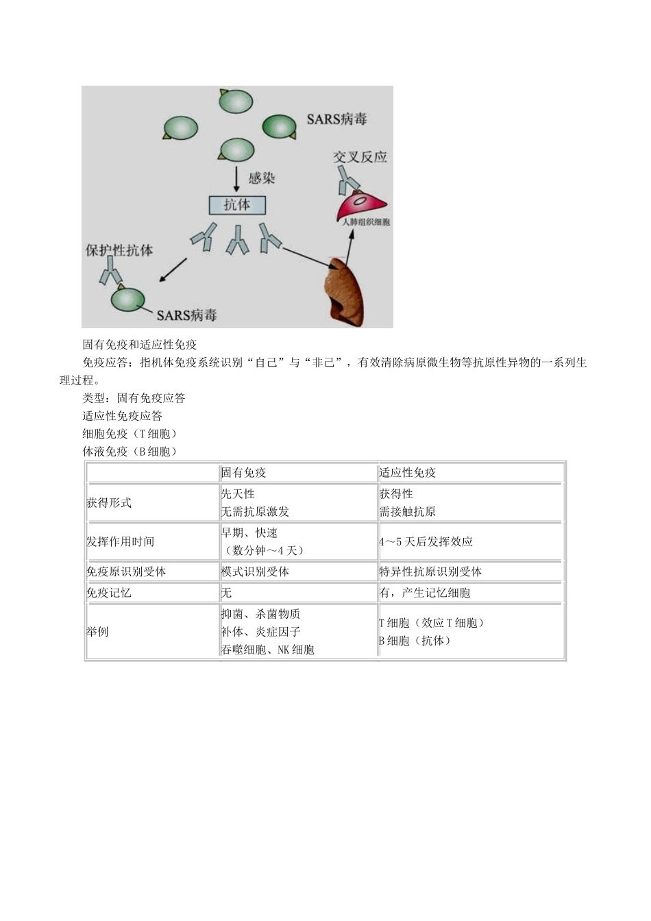 医学科目：医学免疫学讲义0101.doc_第3页