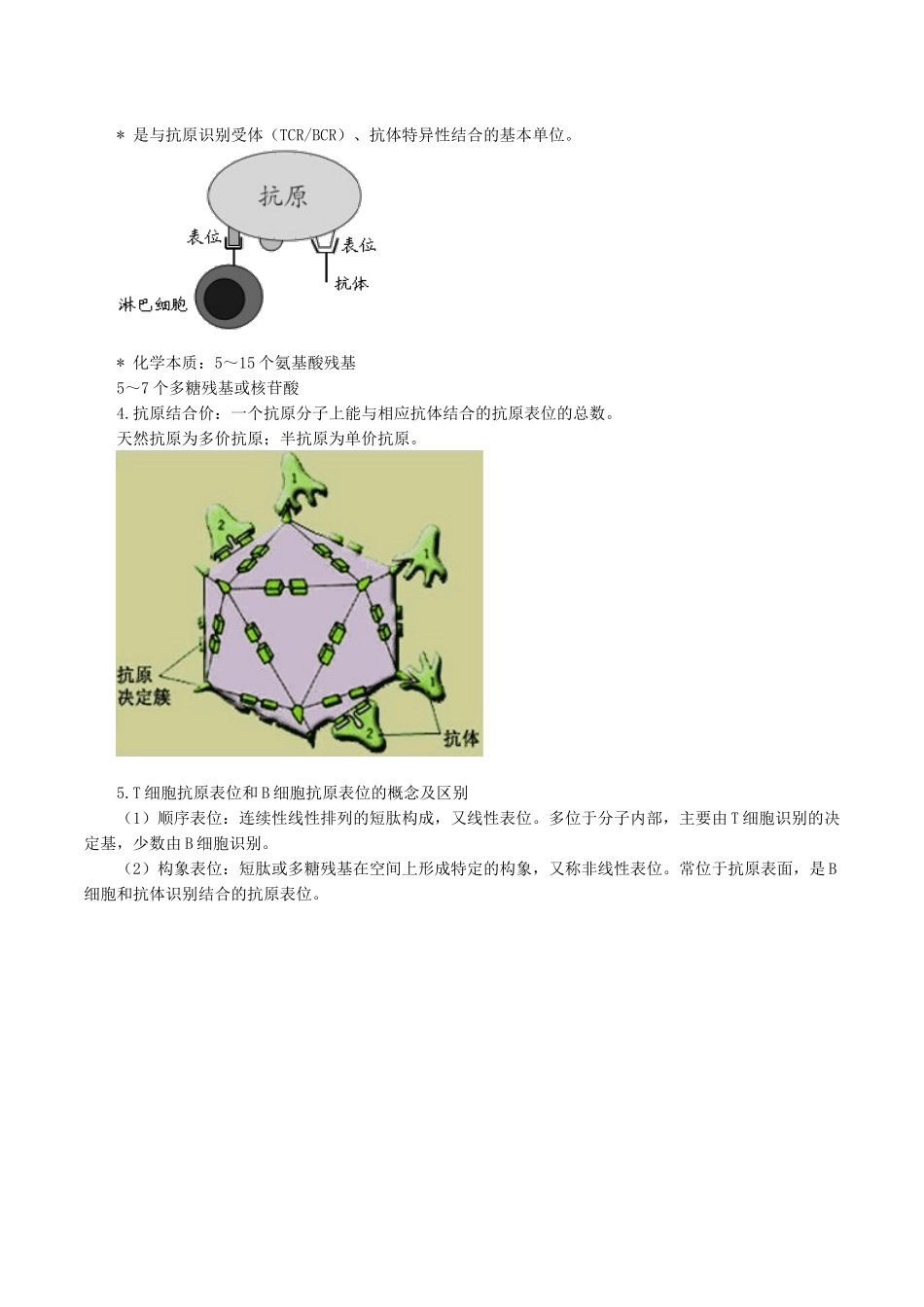 医学科目：医学免疫学讲义0201.doc_第2页