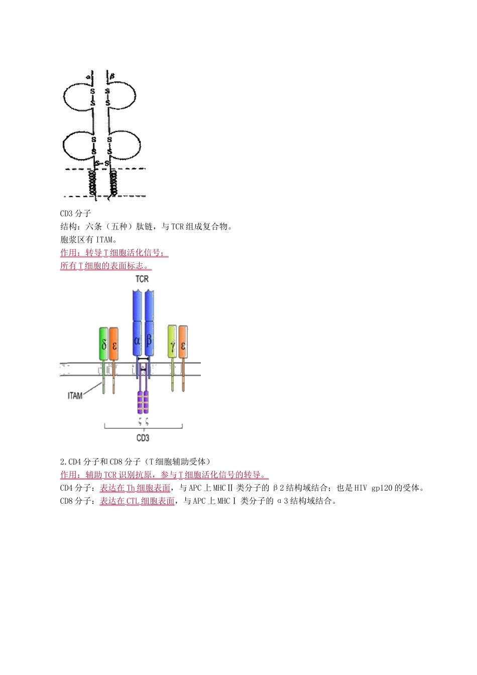 医学科目：医学免疫学讲义0401.doc_第2页