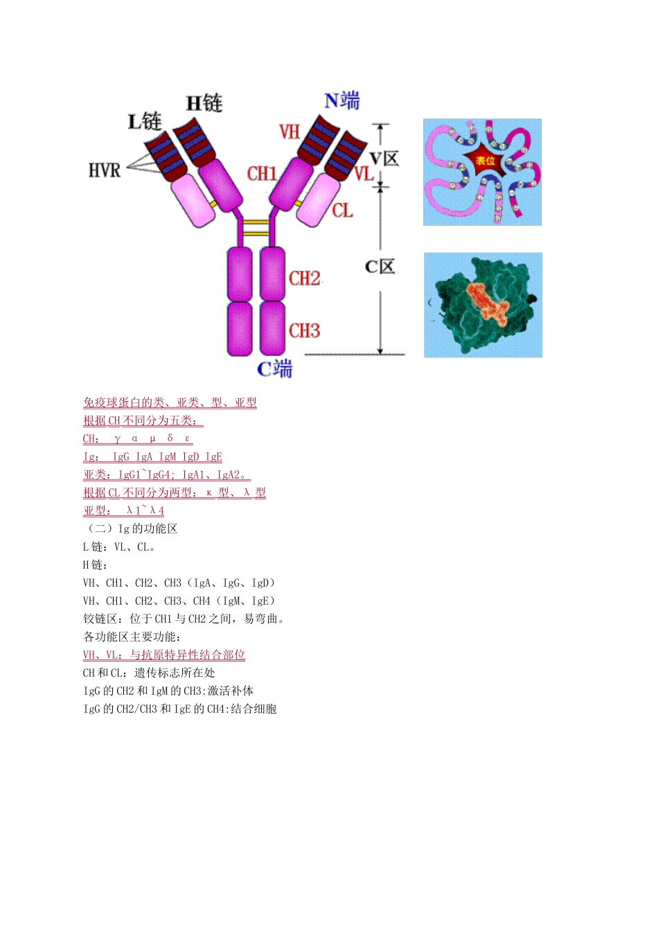 医学科目：医学免疫学讲义0501.doc_第2页