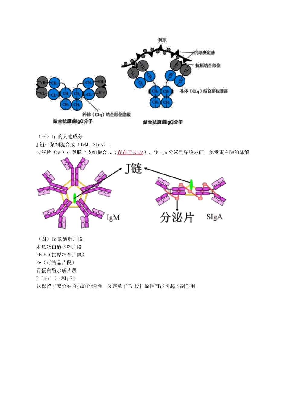 医学科目：医学免疫学讲义0501.doc_第3页