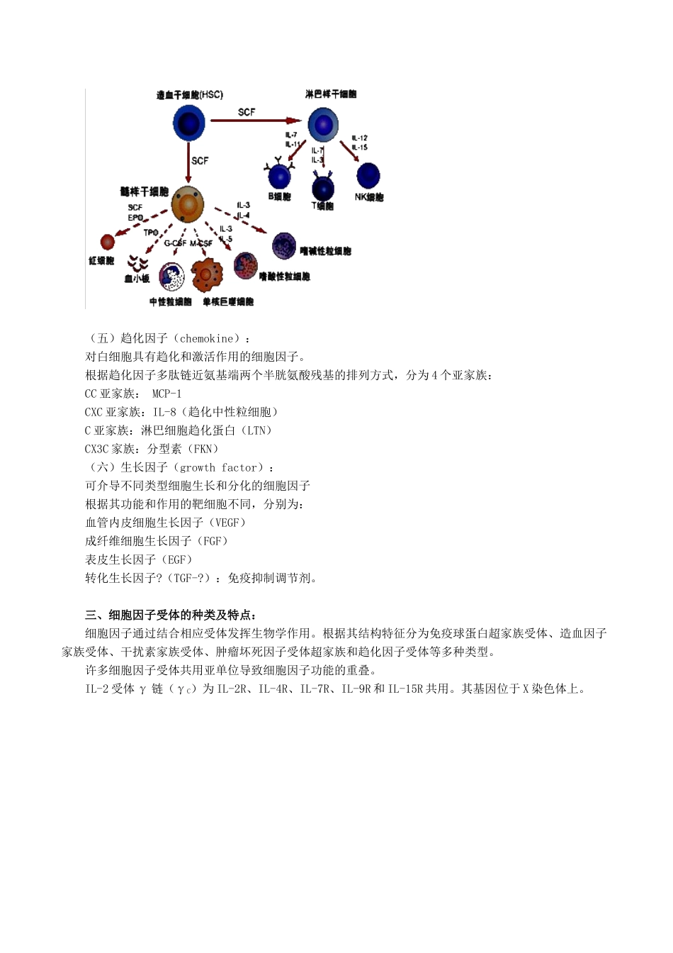医学科目：医学免疫学讲义0701.doc_第3页