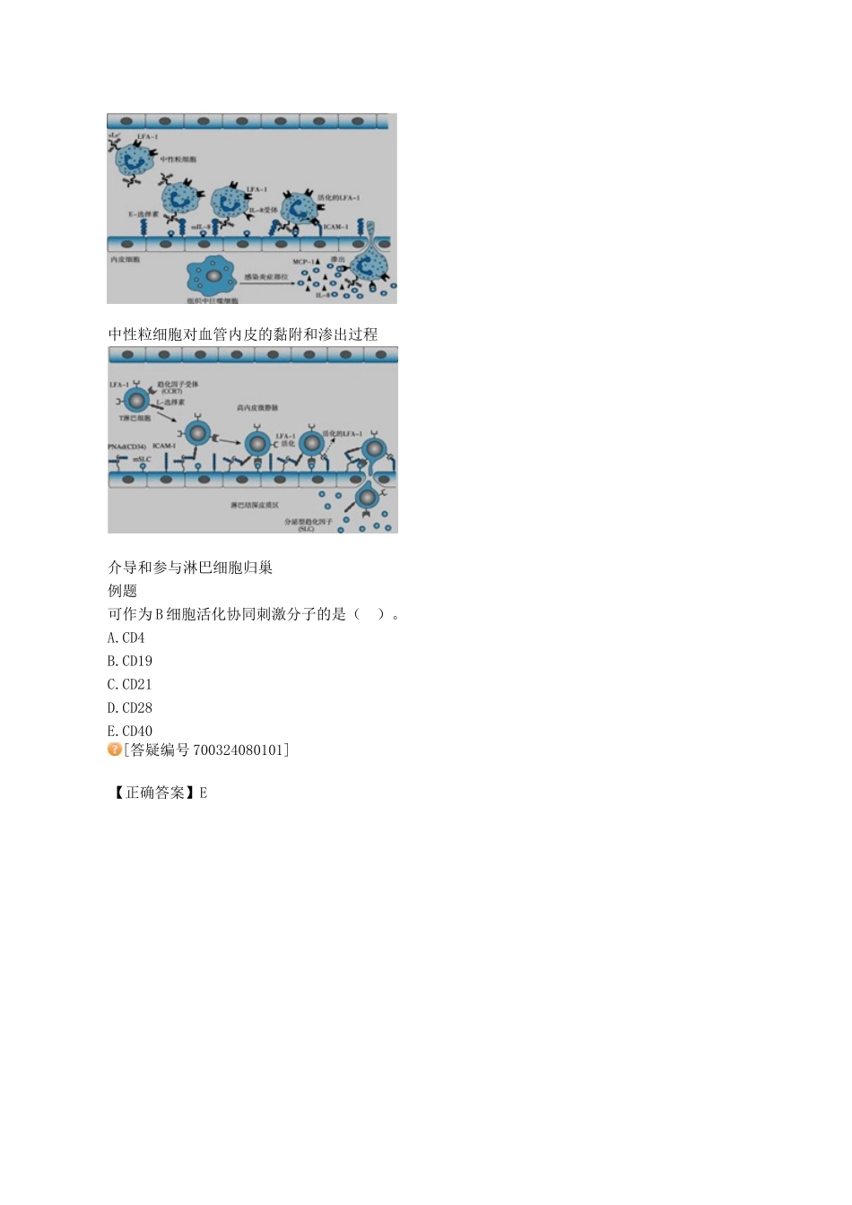 医学科目：医学免疫学讲义0801.doc_第2页