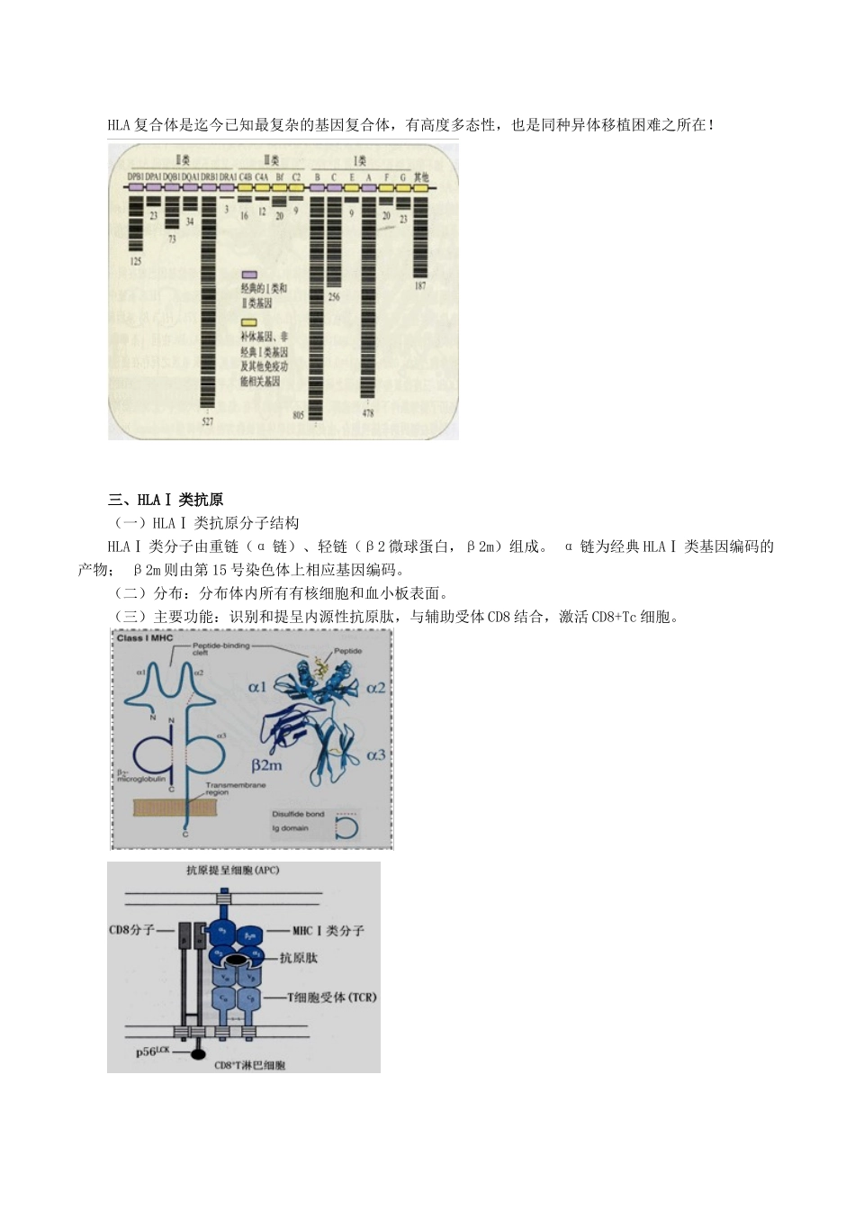 医学科目：医学免疫学讲义0901.doc_第3页
