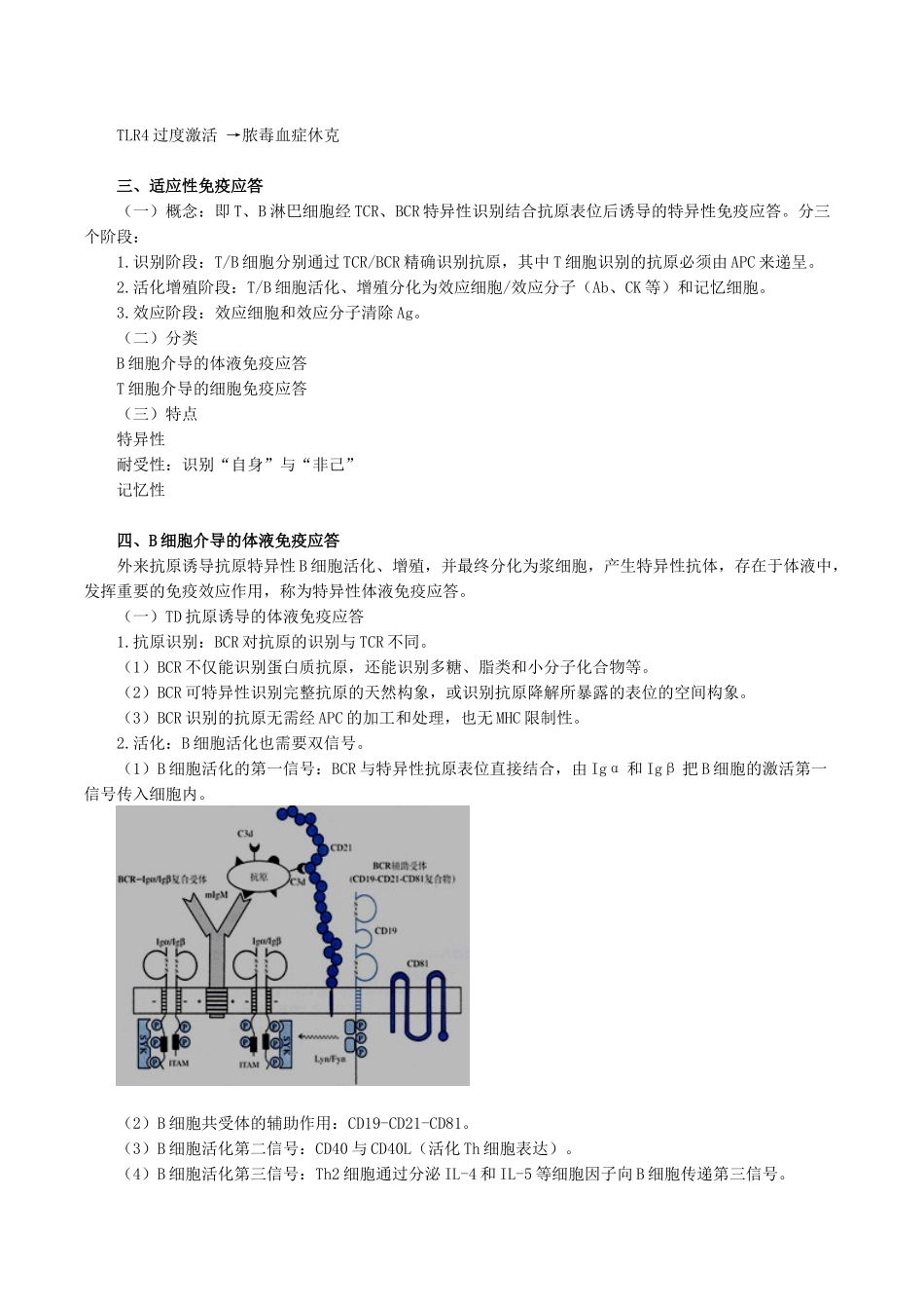 医学科目：医学免疫学讲义1001.doc_第3页