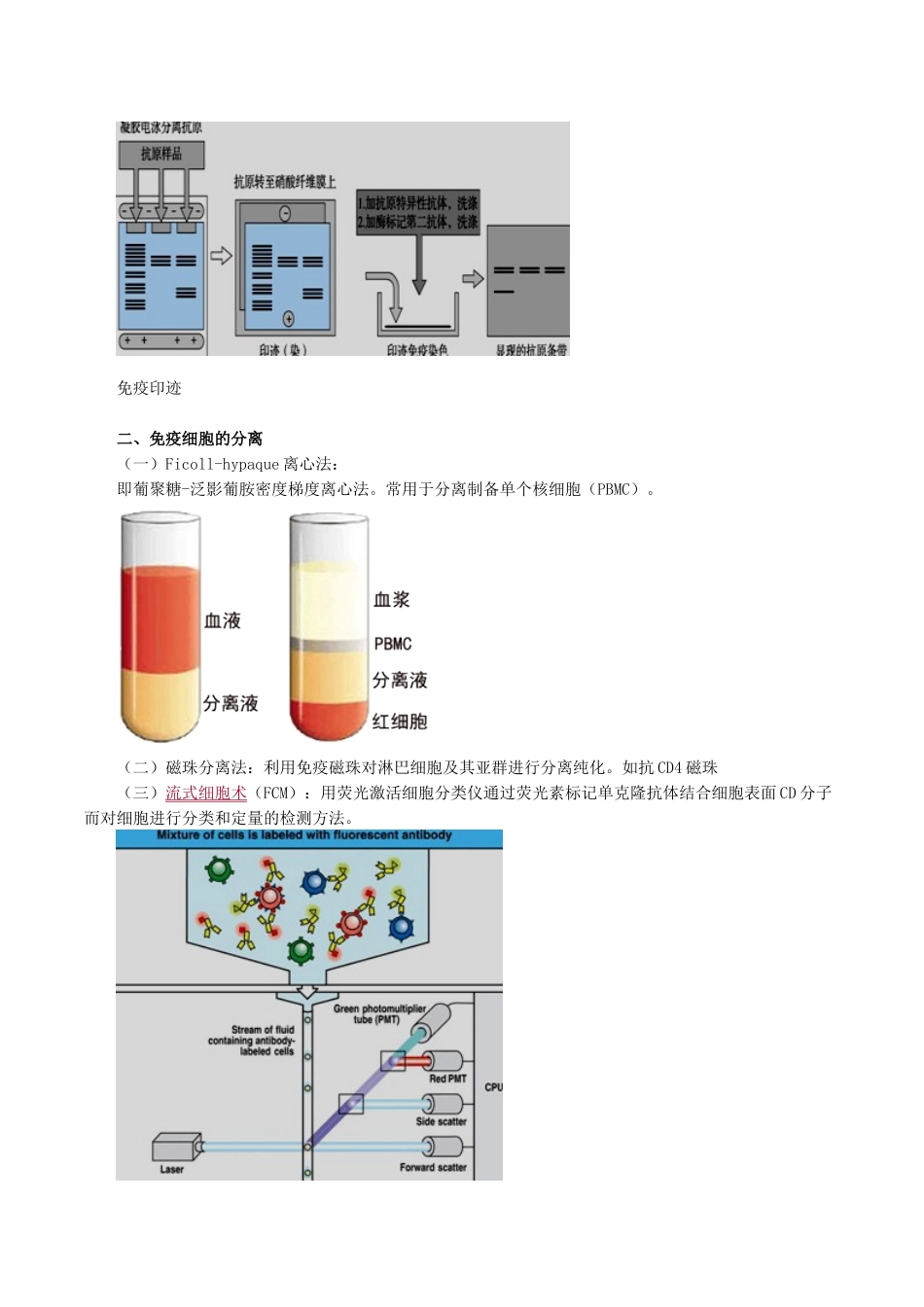 医学科目：医学免疫学讲义1901.doc_第2页