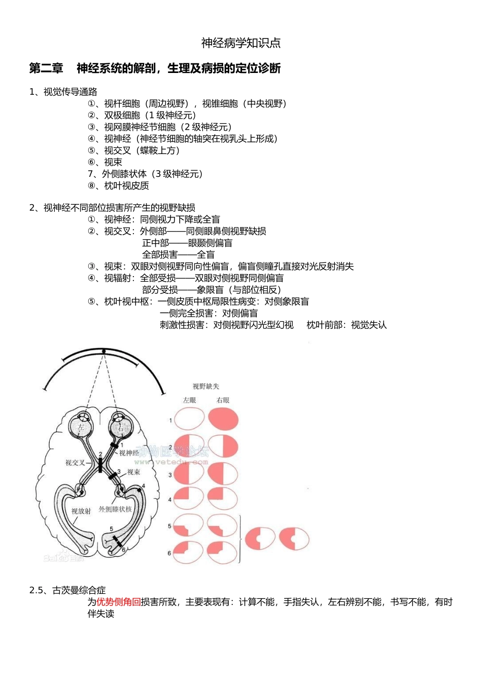 医学学科：【10级】神经病学重点.docx_第1页