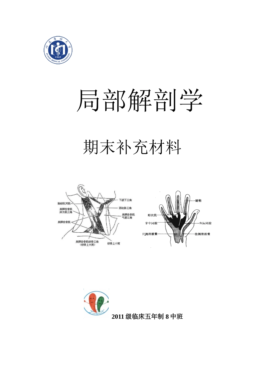 医学学科：【11五临】局部解剖学补充材料.doc_第1页