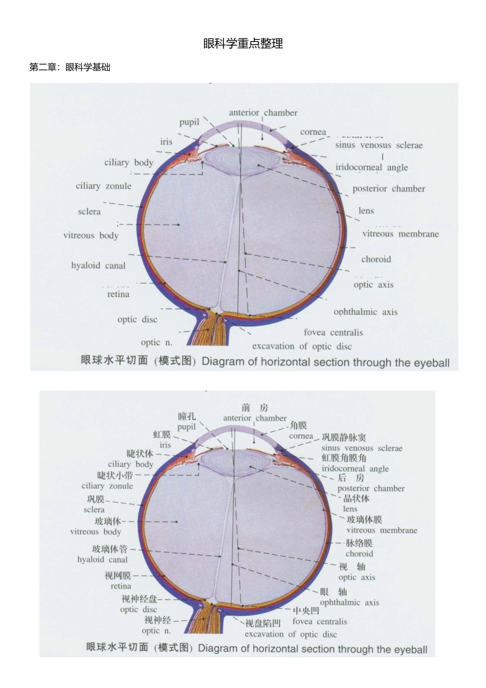 医学学科：【重点】眼科学重点.docx_第1页