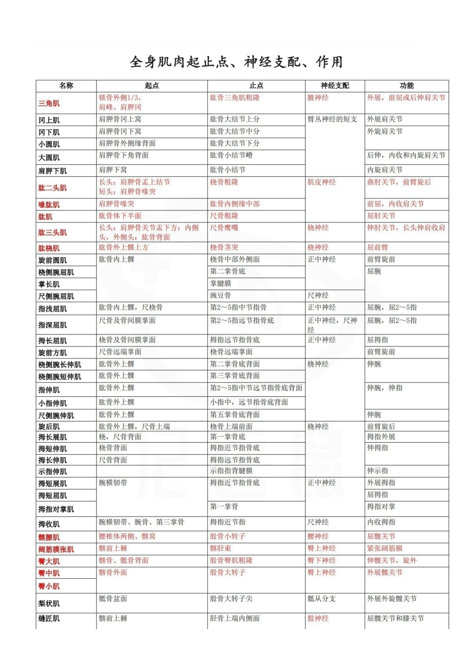 医学学科：表格：全身肌肉起止点、神经支配、作用.pdf_第1页