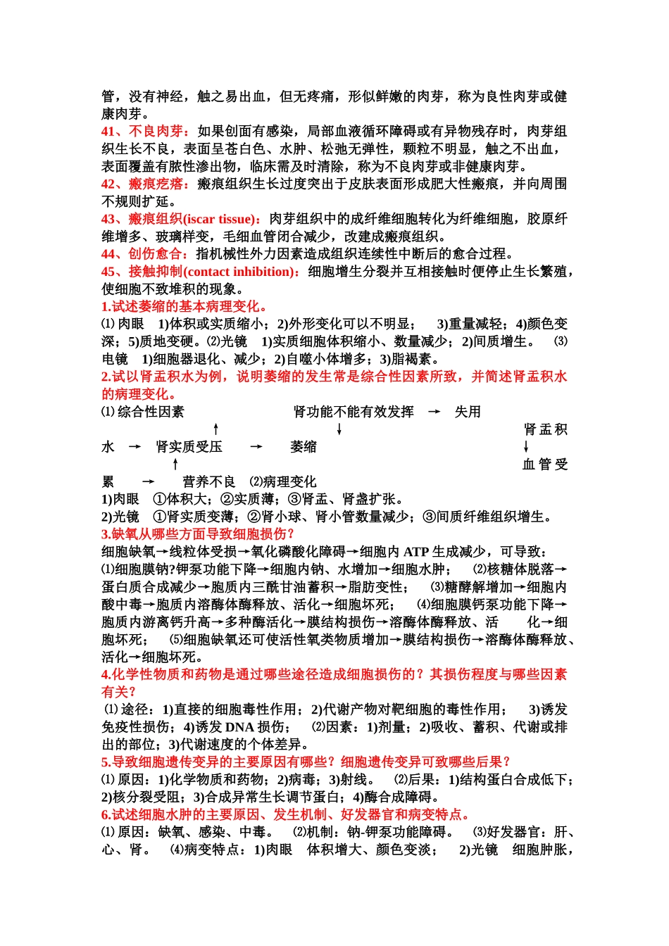 医学学科：病理重点整理.doc_第3页