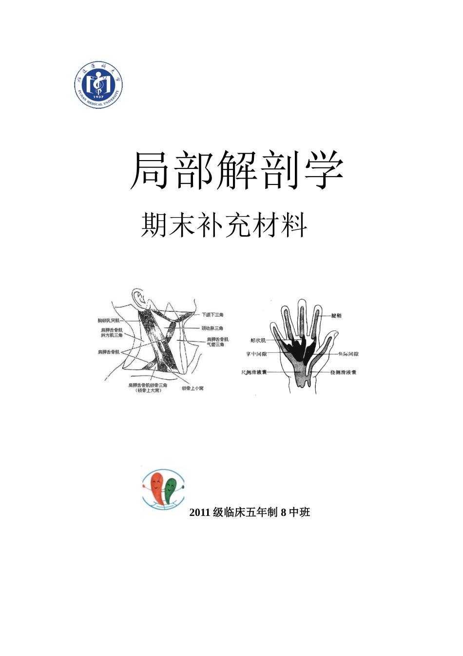 医学学科：局部解剖学（11级五年制8中班）.doc_第1页