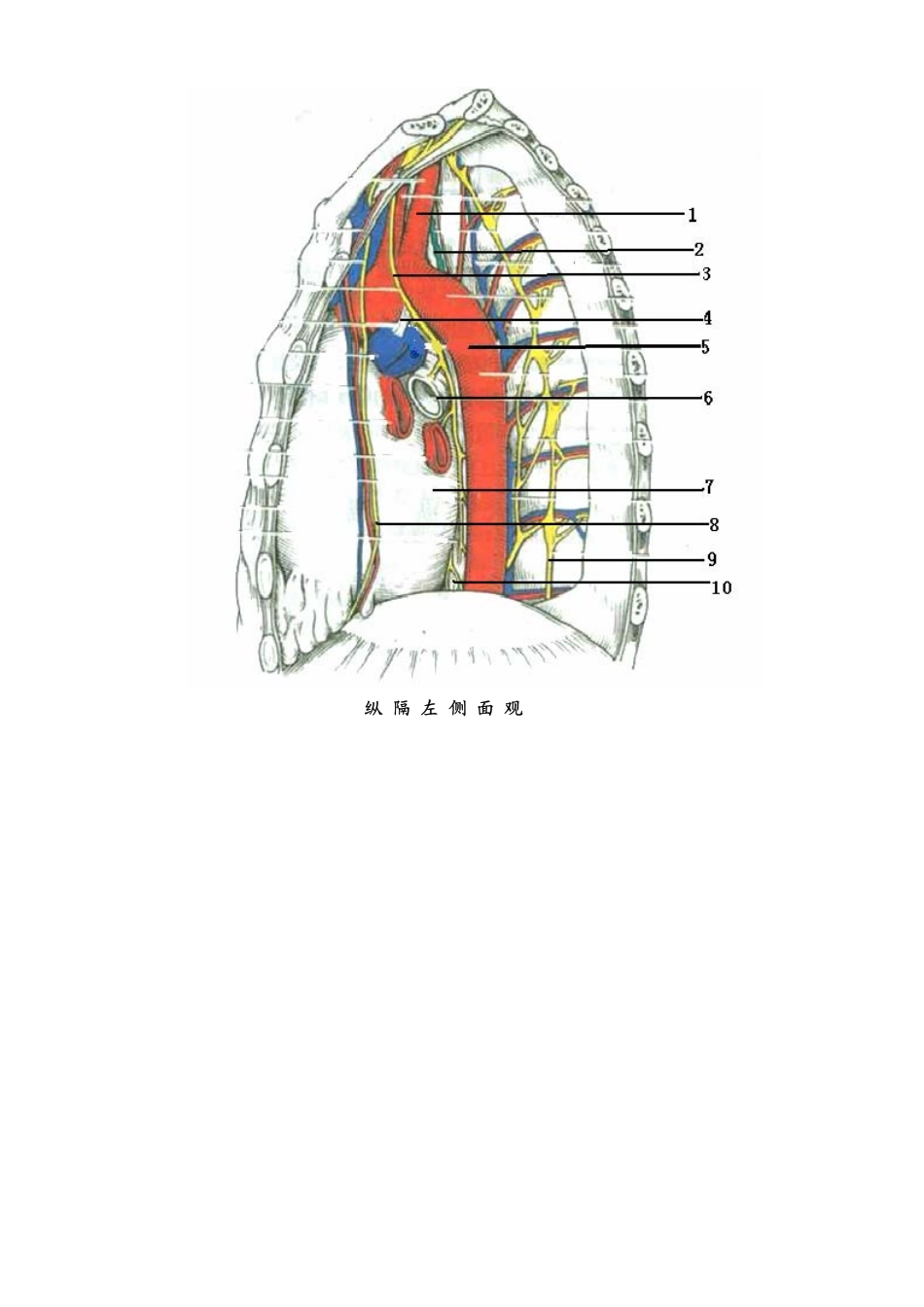 医学学科：局解试卷二.pdf_第2页