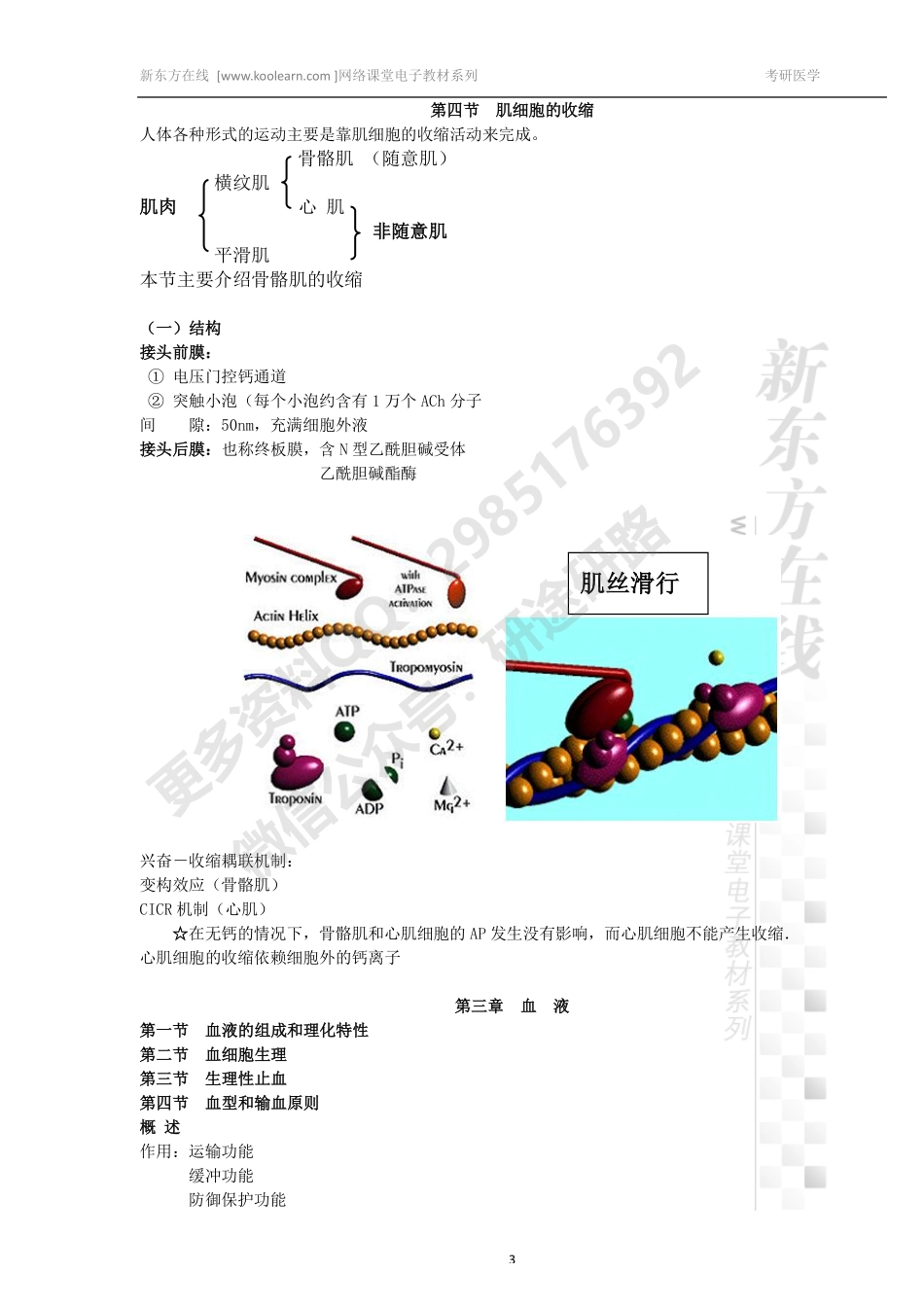 医学学科：生理学讲义-密训课免费分享.pdf_第3页