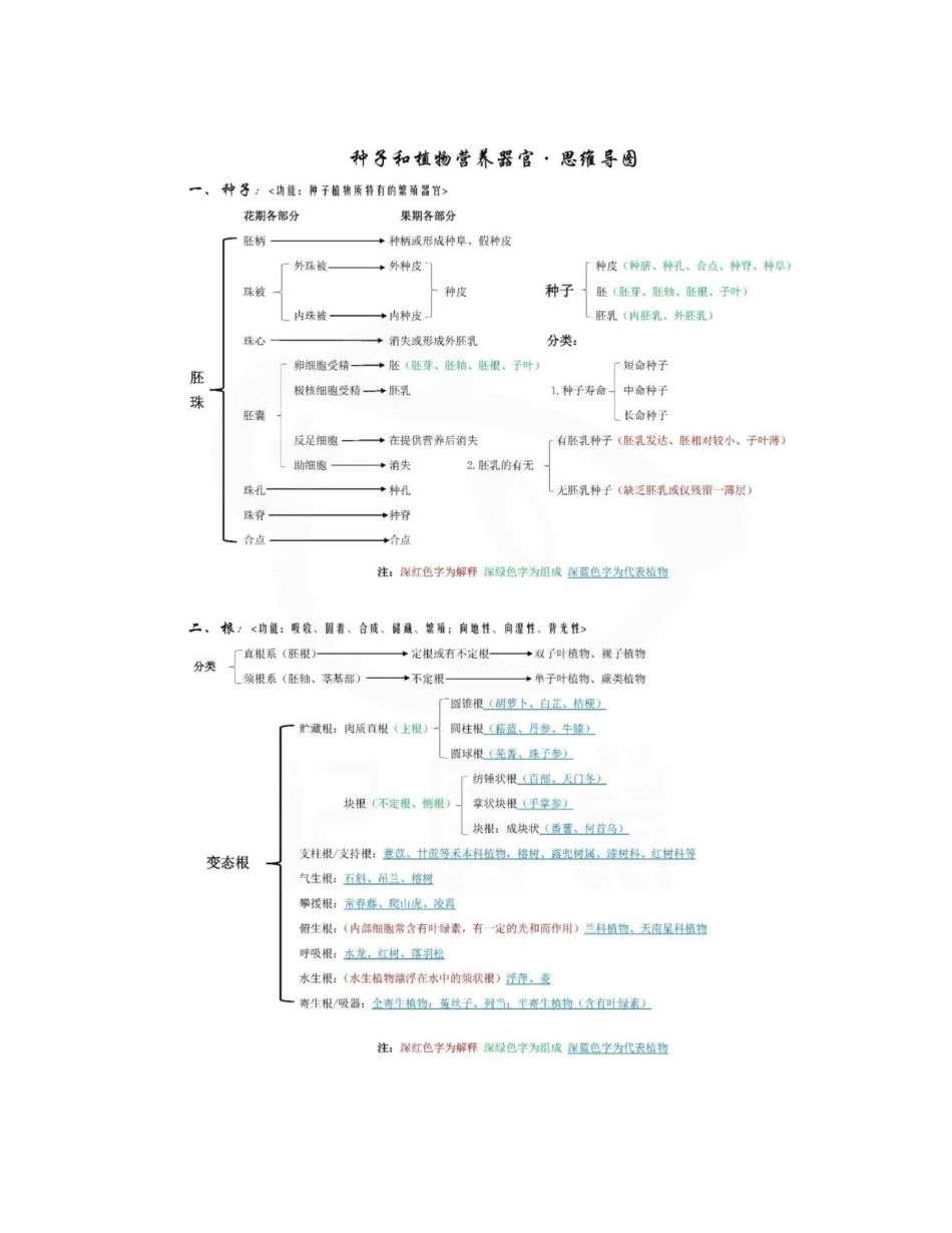 医学学科：药用植物学--思维导图.pdf_第1页