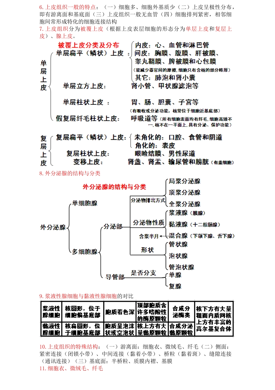 医学学科：组胚知识点整理.doc_第2页
