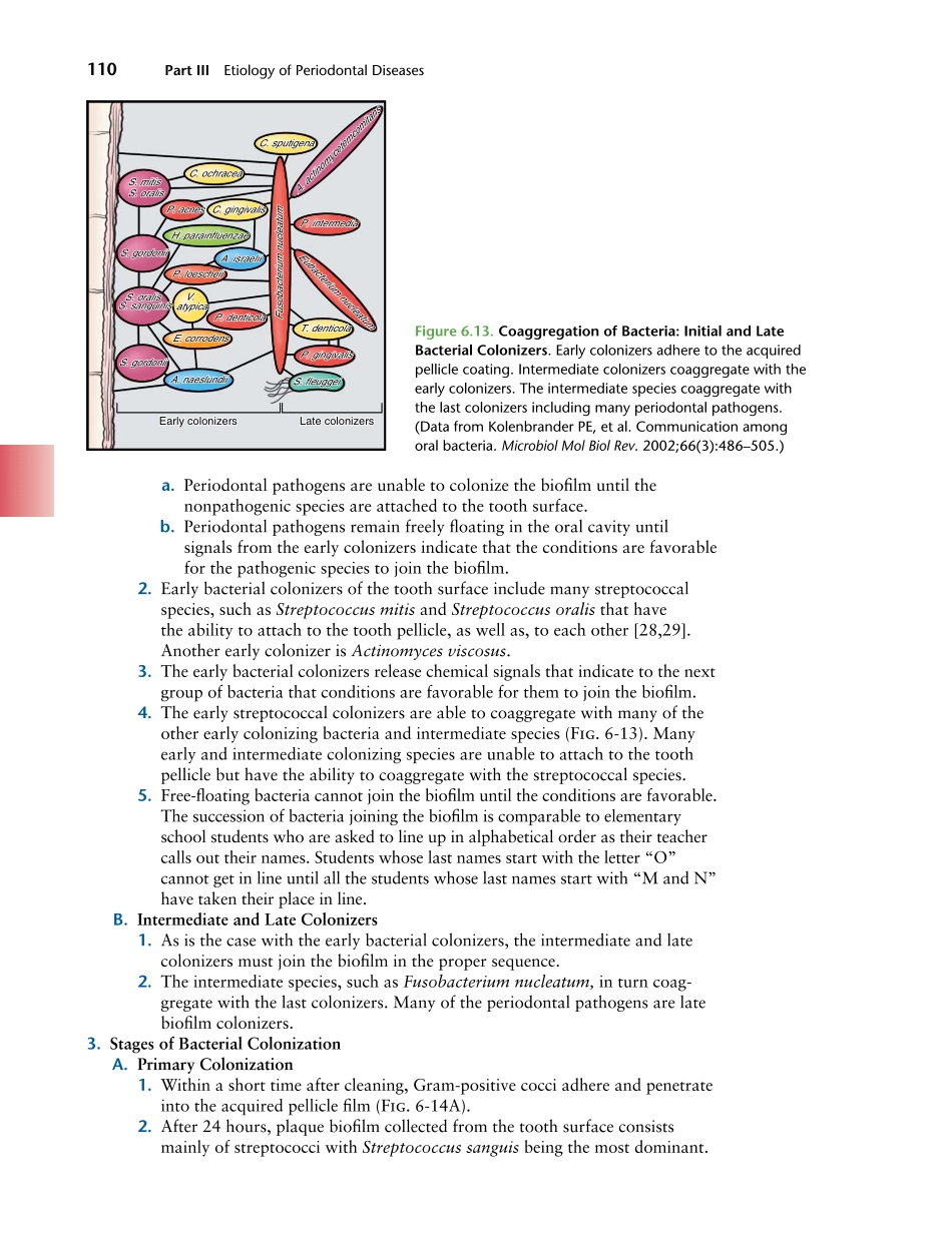 牙周2012Foundations of Periodontics for the Dental Hygienist _126-150.pdf_第3页